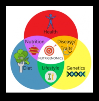 Gen Devrimi: Nutrigenomik ve Kişiselleştirilmiş Sağlık